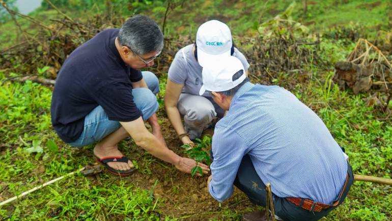 CÙNG VARS THAM GIA “TẾT TRỒNG CÂY” TẠI QUẢNG BÌNH