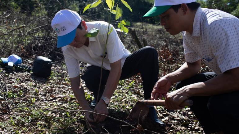VARS TRỒNG 241,8 HECTA TRONG NĂM 2022