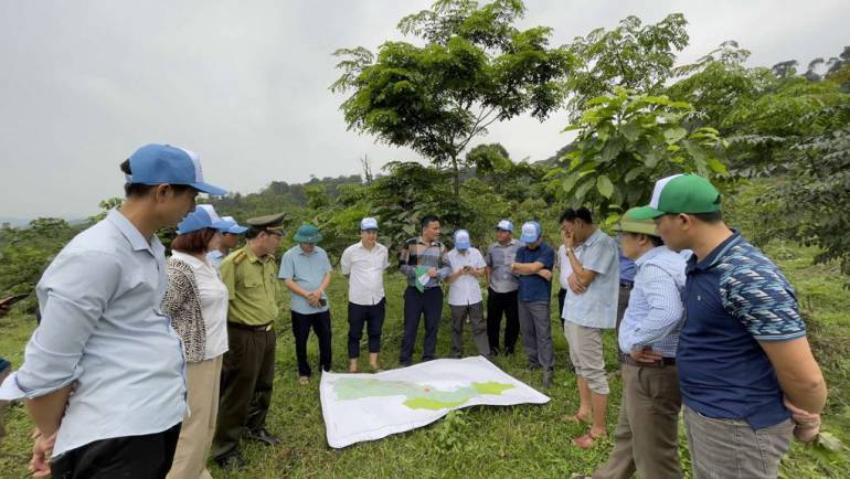 [Báo Điện tử Chính phủ]“Góp một cây để có rừng”: Hiệu quả xã hội hóa phục hồi rừng