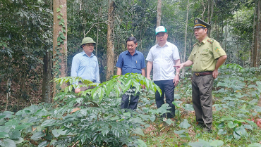 [Báo Quảng Bình] Khởi động chương trình “Góp một cây để có rừng” năm 2024