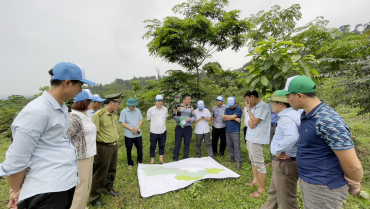 [Cổng TTĐT tỉnh Quảng Bình] Xã hội hóa nguồn lực phục hồi rừng đầu nguồn sông Gianh